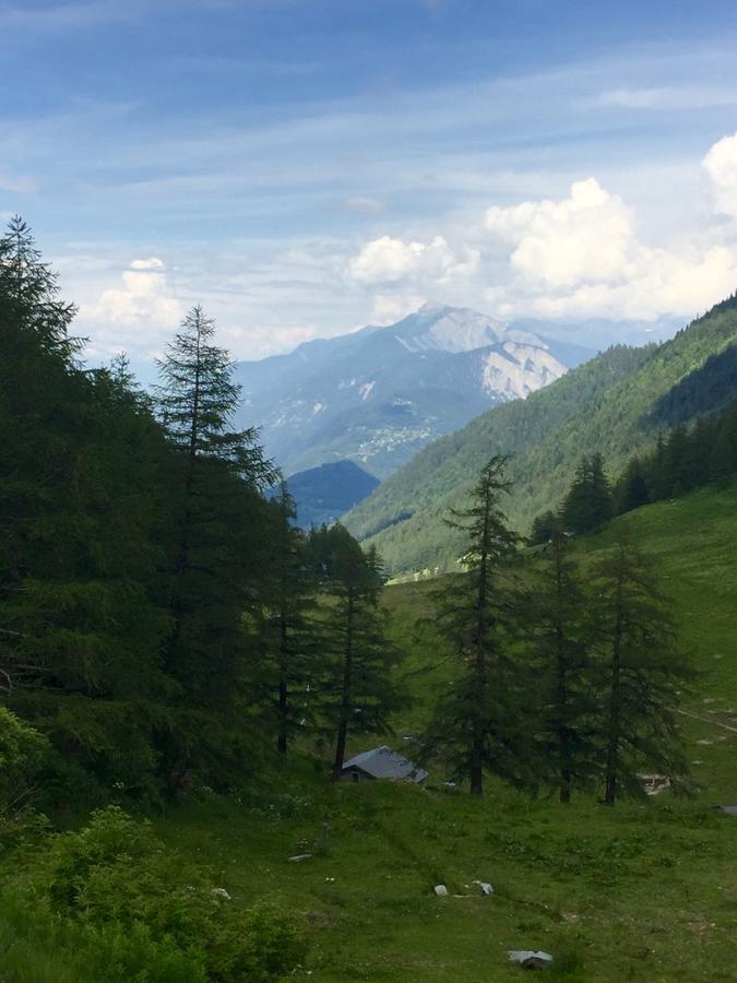 Mountains and trees