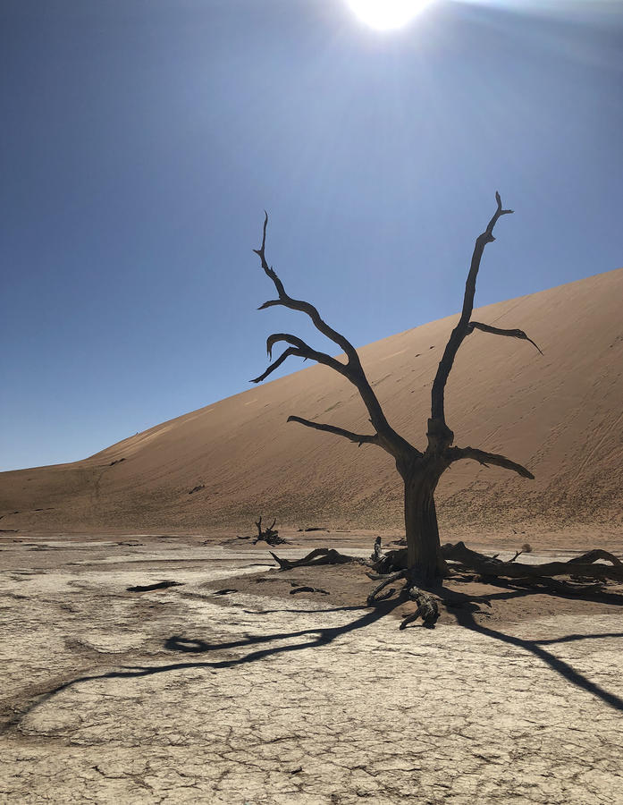 Dry land