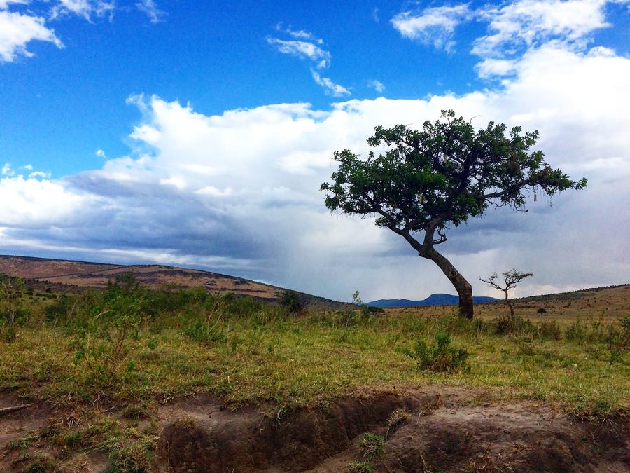 JingJing Zhu, Masai Mara National Reserve in Kenya