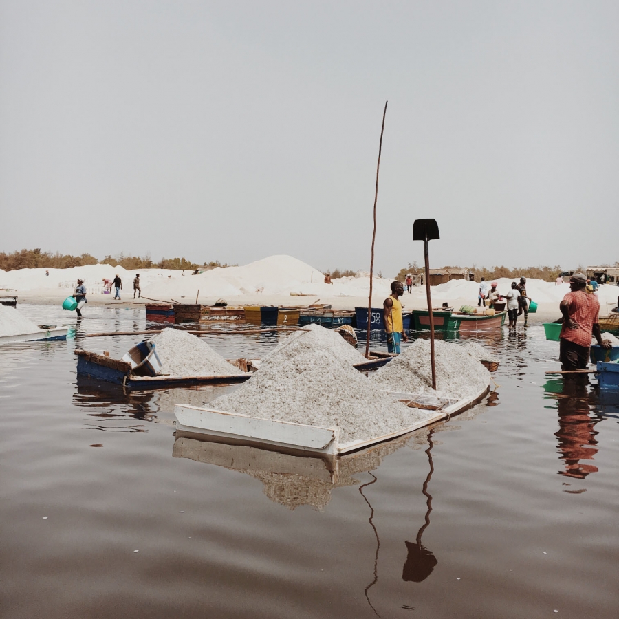 Salt harvest